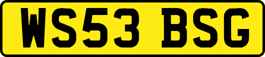 WS53BSG