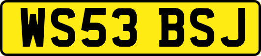 WS53BSJ