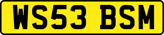 WS53BSM