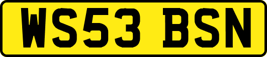 WS53BSN