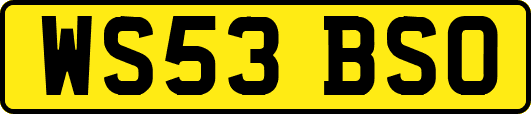 WS53BSO