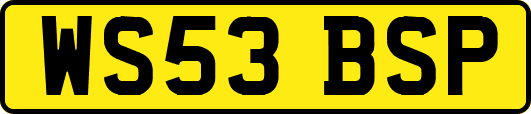 WS53BSP