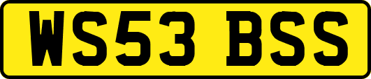 WS53BSS