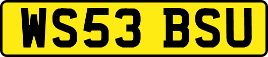 WS53BSU