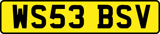 WS53BSV