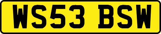WS53BSW