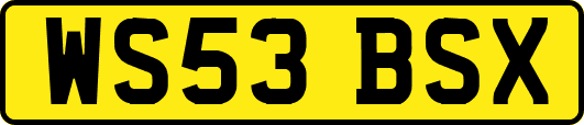 WS53BSX