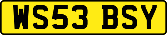 WS53BSY