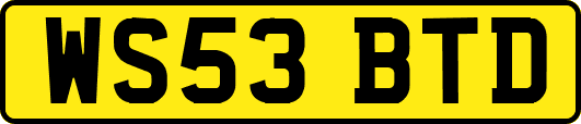 WS53BTD