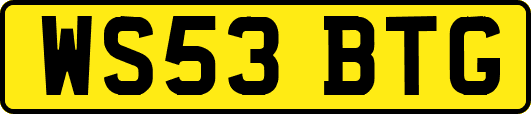WS53BTG