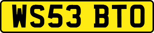 WS53BTO