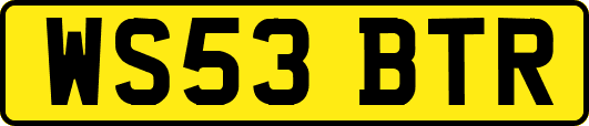 WS53BTR