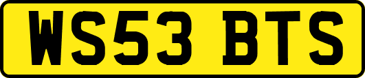 WS53BTS