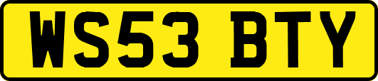 WS53BTY