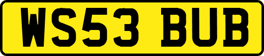 WS53BUB