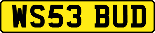 WS53BUD
