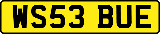 WS53BUE