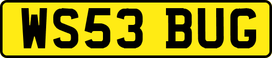 WS53BUG