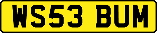 WS53BUM