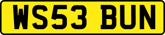 WS53BUN