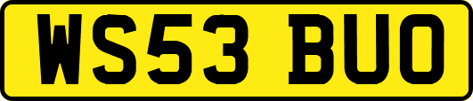 WS53BUO
