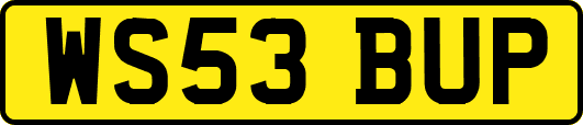WS53BUP