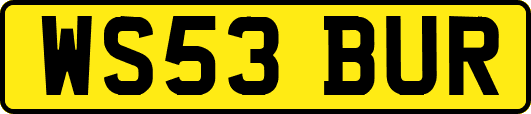WS53BUR