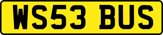 WS53BUS