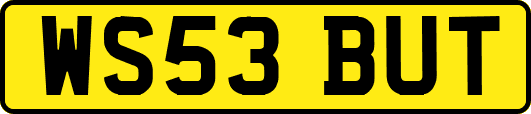 WS53BUT