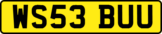 WS53BUU