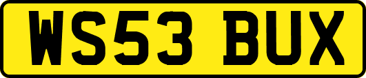 WS53BUX