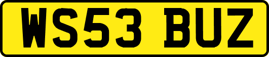 WS53BUZ