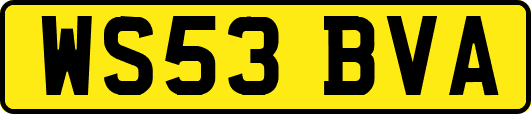 WS53BVA