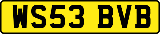 WS53BVB