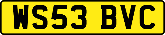 WS53BVC