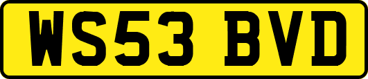 WS53BVD