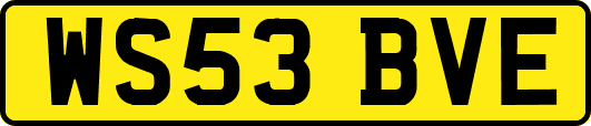 WS53BVE