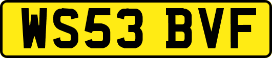 WS53BVF