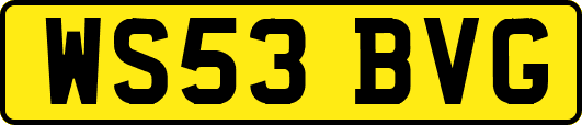 WS53BVG