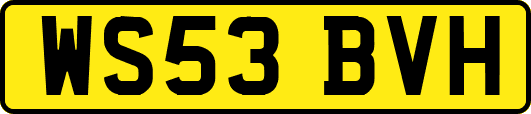 WS53BVH