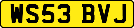 WS53BVJ