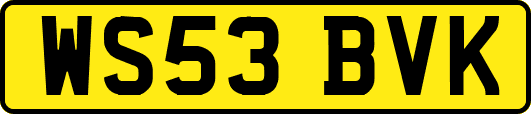 WS53BVK