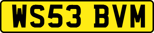 WS53BVM