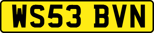 WS53BVN