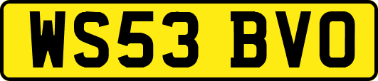 WS53BVO