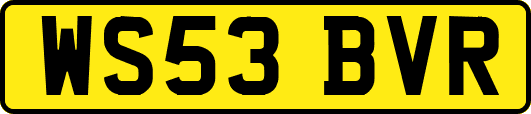 WS53BVR