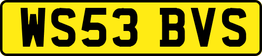 WS53BVS