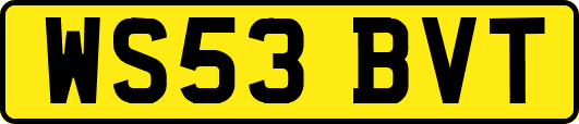 WS53BVT