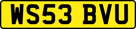 WS53BVU
