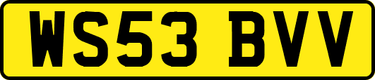 WS53BVV